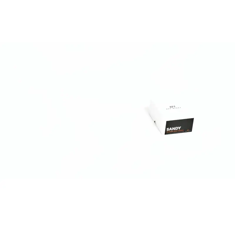 SANDY | The Remote Controlled Bullet Vibrator - Image 6